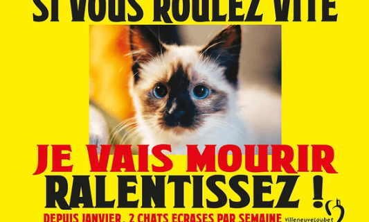 Pour la sécurité des piétons et  de nos animaux rue Coron de Denain !
