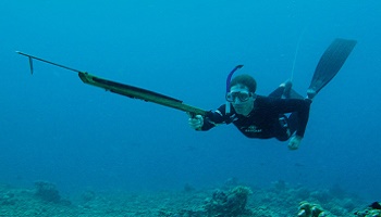 To maintain walleye fishing with a harpoon