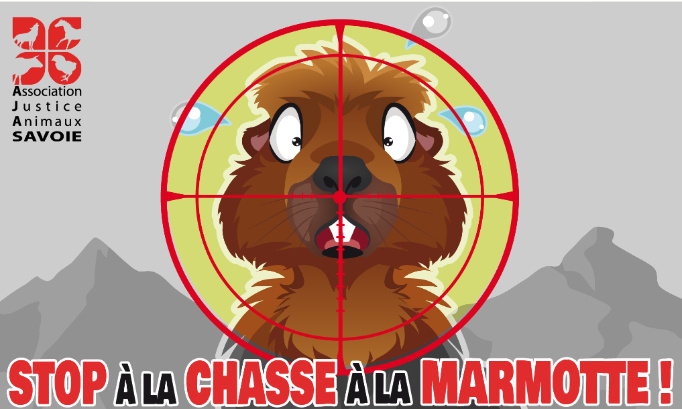 Exigeons l'interdiction de la chasse à la marmotte