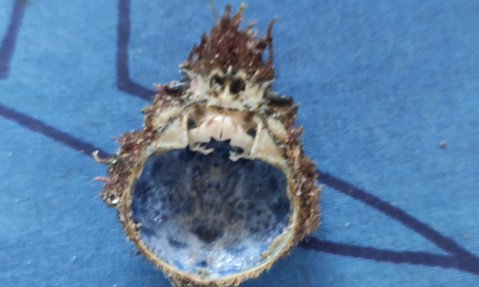 La plan&egrave;te meurt aidons la !!