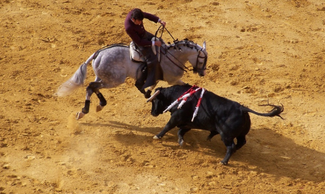Soutenez la proposition de loi du 24 novembre pour l'abolition de la corrida