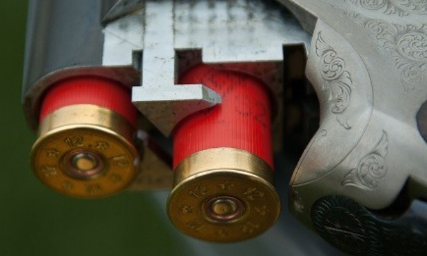 Loi de Finance : Taxons les munitions de chasse au plomb sur le principe du pollueur-payeur !