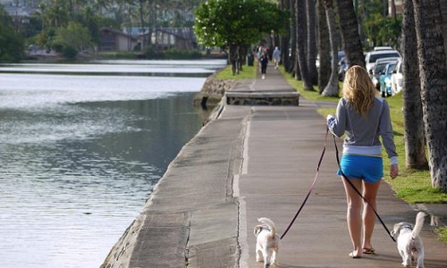 Risques d'accidents importants