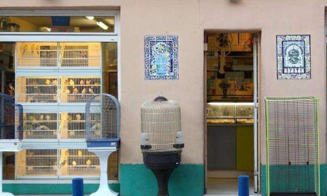 Non &agrave; la fermeture de l,'oisellerie nouvelle 2 &agrave; Nice