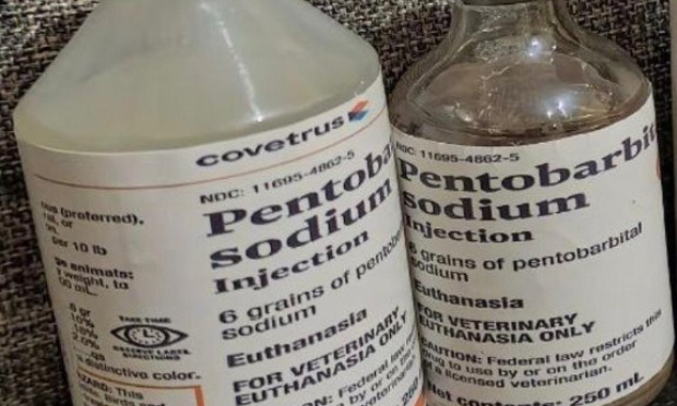 (billyjoneschemstore@gmail.com) Wo kann man Pentobarbital online bestellen?