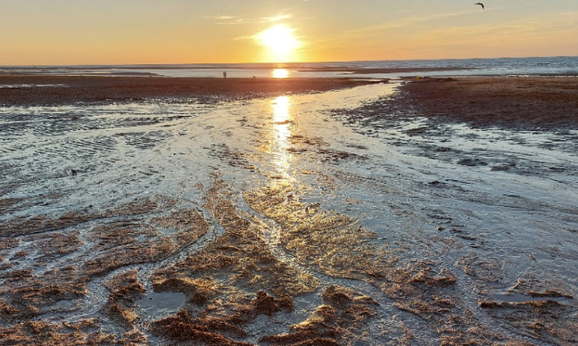 Stop aux dérives sectaires