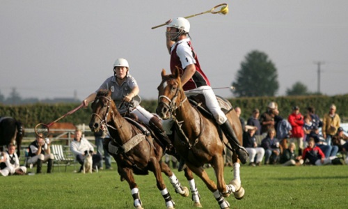 La reconnaissance du Polocrosse en tant que sport fédéral en France!