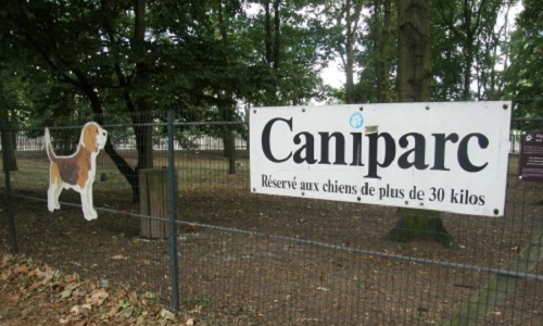 Pour un caniparc : un jardin public pour les toutous citadins