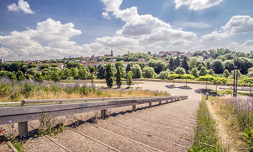 Que les services de la ville de Metz ne plantent plus que des arbres fruitiers et des plantes comestibles