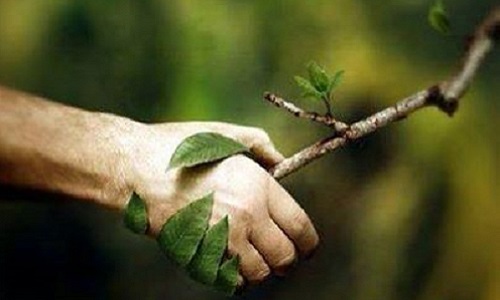 Que les ''Droits de la Vie'' soient inscrits dans la Constitution