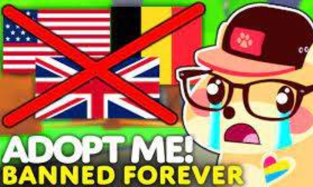 La suppression du jeux 'Adopte me' en France