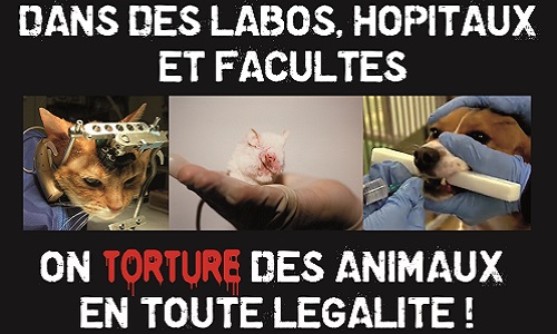 Pour l'abandon du modèle animal pour la recherche médicale et l'enseignement et pour le développement des méthodes substitutives à l'expérimentation animale au pôle santé de Nancy Brabois