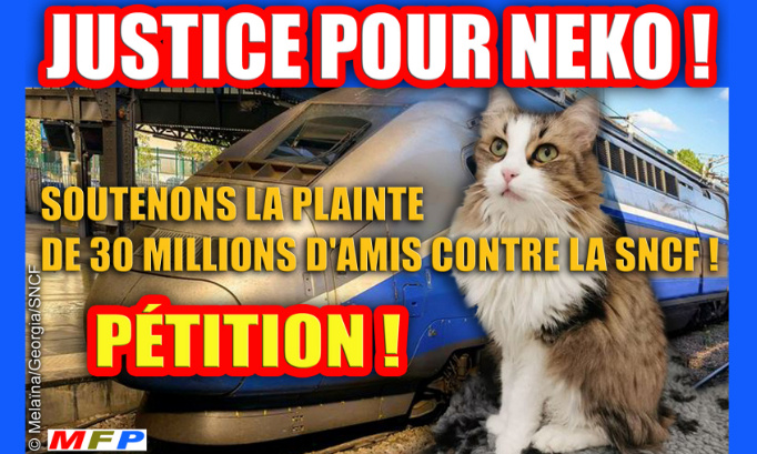 Justice pour Neko : Soutenons la plainte de 30 millions d'amis contre la SNCF !