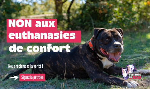 NON aux euthanasies de confort de nos animaux de compagnie : nous réclamons de la transparence