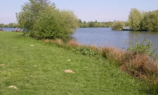 Les élus rennais prennent-ils La Prévalaye pour un Disney-Land ?