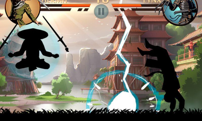 Ma&icirc;trisez le boucher Shadow Fight 2