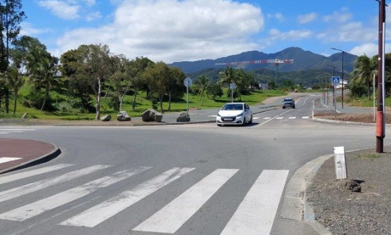 installation de ralentisseurs de type dos d'&acirc;nes ou coussins berlinois Avenue Paul Emile Victor Collines d'Auteuil Dumb&eacute;a