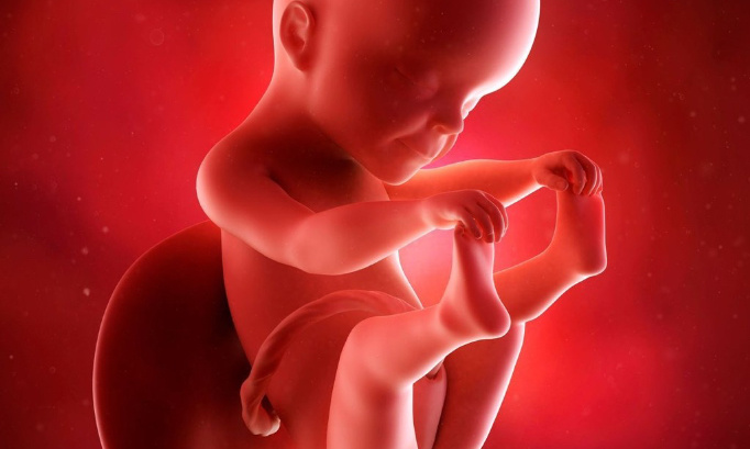 Pour que plus jamais un fœtus ne soit considéré comme un non vivant !