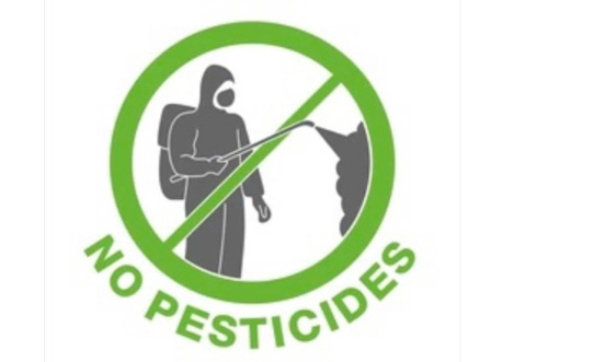 STOP aux pesticides