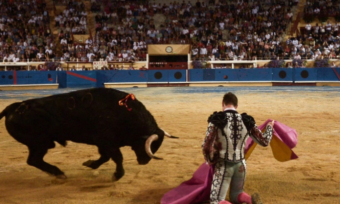 Interdisons la corrida : Pour une société plus humaine et respectueuse des animaux