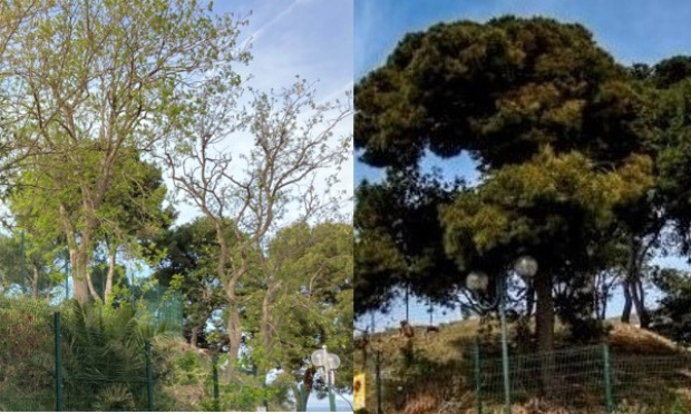 Pour la préservation environnementale du site historique du Mouré à Collioure