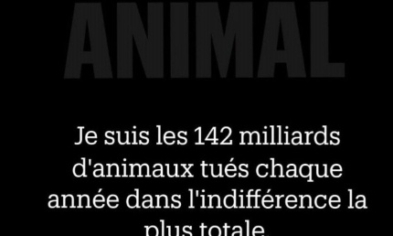 extinction de milliers animaux dans le monde