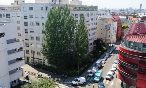 Sauvons les peupliers de la Fontaine au Roi !