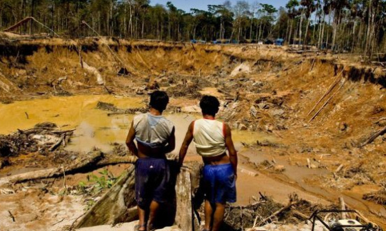 Non à la déforestation et à l'exploitation minière illégales dans l'Amazonie !
