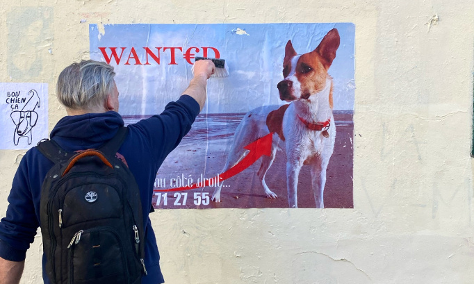 Bayou, chien volé, retrouvé après 50 jours : votons pour qu'en cas d'enlèvement, nos animaux ne soient pas considérés comme de simples objets dans les procédures