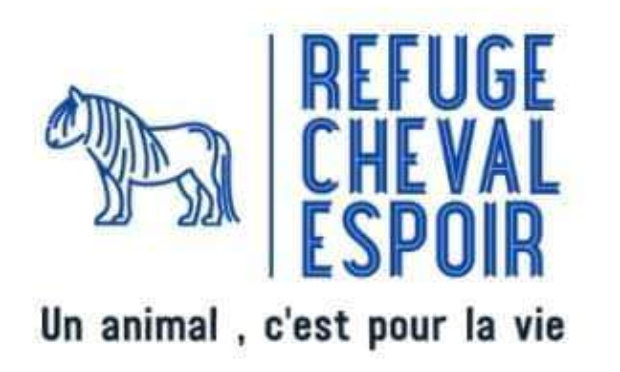 Stop à l'exportation des chevaux vers le Japon pour leur viande !