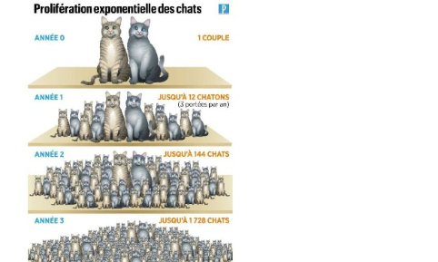 Pour l'identification et la stérilisation obligatoires !