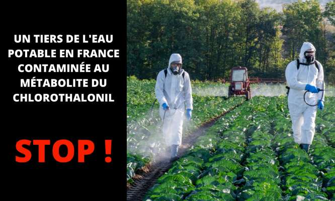 Eau potable polluée aux pesticides : STOP !