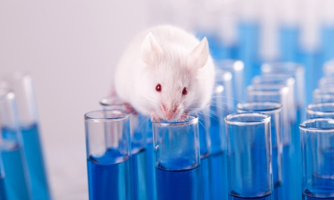 Expérimentation Animale - Commission d'Enquête à l'Assemblée Nationale