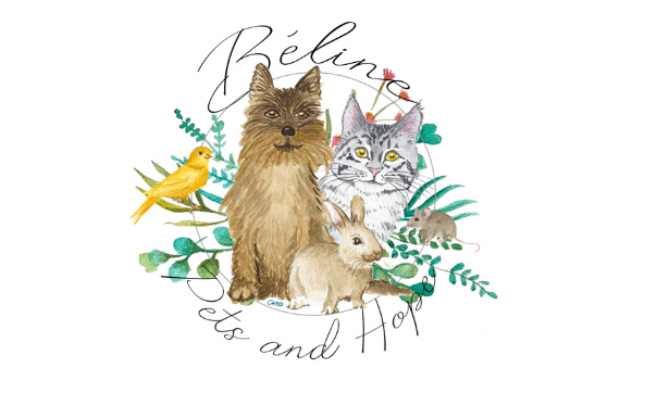 Sauvons l’association Béline, Pets and Hope !