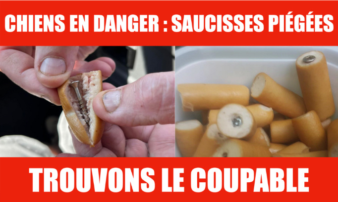 Saucisses piégées pour tuer des chiens : retrouvons le coupable !