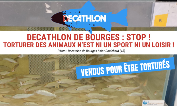 Decathlon de Bourges : Stop ! Torturer des animaux n’est ni un sport ni un loisir !