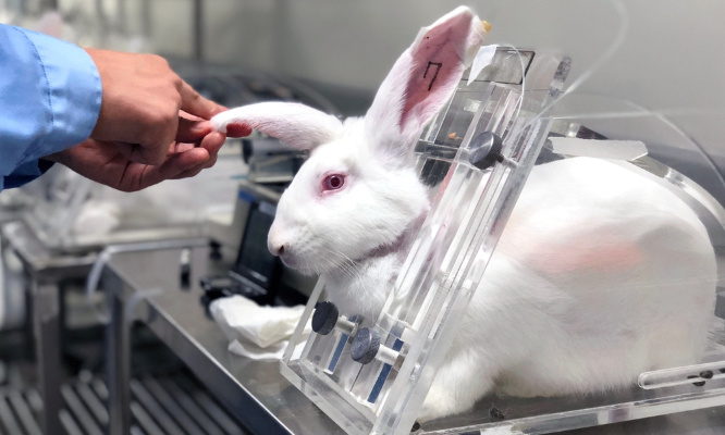 Expérimentation Animale : Un thème pour l'Assemblée Nationale et le Sénat !