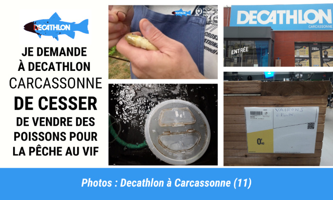 Decathlon Carcassonne : Cessez de vendre des poissons pour être torturés !