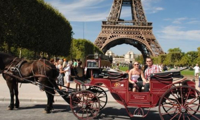Stop aux calèches avec chevaux à Paris et partout dans le monde !