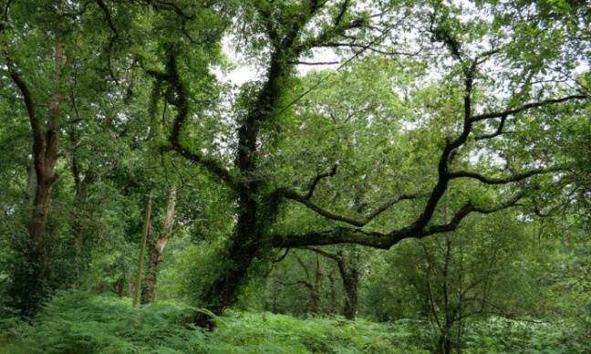 Non à l'urbanisation au bord du Lac de Leon ! Non à Paloma !