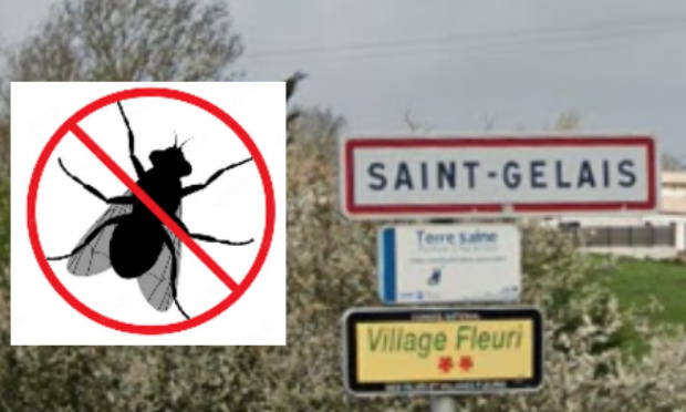 Stop aux mouches à Saint Gelais et Chauray !