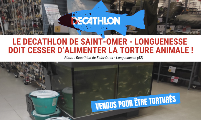 Le Decathlon de Saint-Omer - Longuenesse doit cesser d’alimenter la torture animale !
