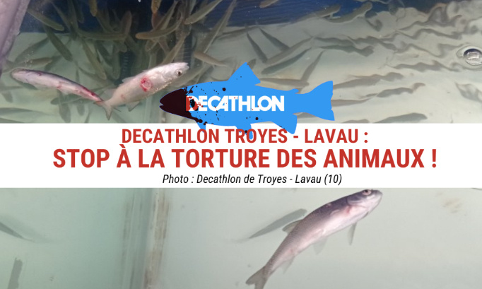 Decathlon de Troyes - Lavau : stop à la torture des animaux !