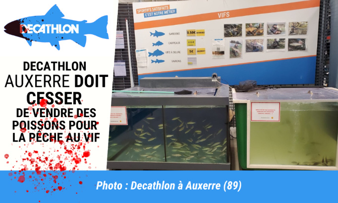 Le Decathlon d’Auxerre doit arrêter d’alimenter la cruauté envers les animaux !