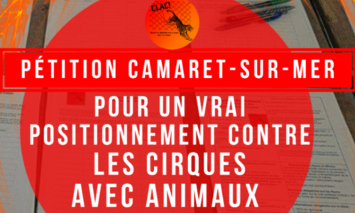 Camaret-sur-mer : Pour un vrai positionnement contre les cirques avec Animaux
