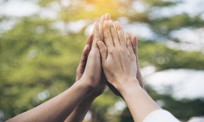 Elise, Tonia, nous vous demandons de reconsidérer votre décision.
