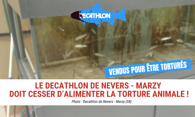 Decathlon de Nevers-Marzy : stop à la torture des animaux !