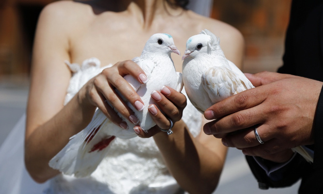 Mettons fin aux lâchers d'oiseaux lors des cérémonies !