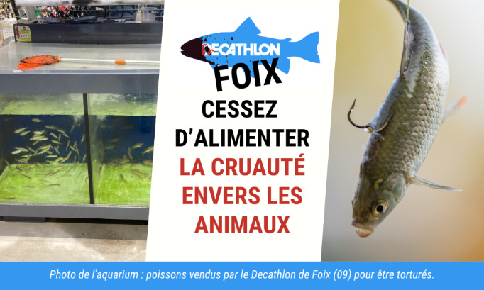 Le Decathlon de Foix doit arrêter d’alimenter la cruauté envers les animaux !