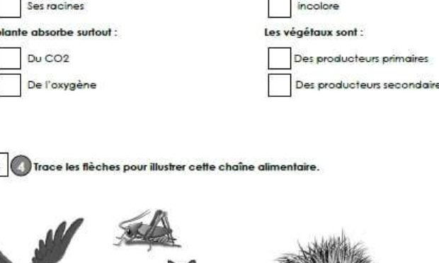 protegons la nature  qu  il y a dans certain pays